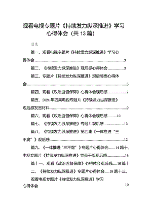 2024观看电视专题片《持续发力纵深推进》学习心得体会（共13篇）.docx