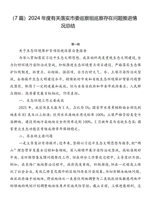 （7篇）2024年度有关落实市委巡察组巡察存在问题推进情况总结.docx