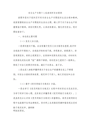 安全生产专题个人检查剖析发言提纲.docx