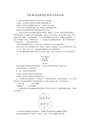 专练45基因和染色体的关系综合练.docx