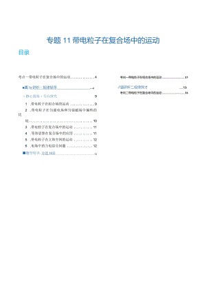 专题11带电粒子在复合场中的运动（讲义）（解析版）.docx