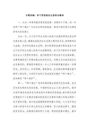 专题讲稿：学习贯彻落实全国两会精神.docx