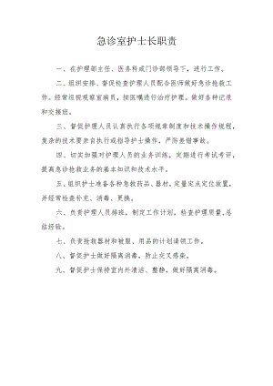 急诊室护士长职责.docx