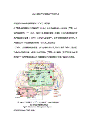 2024铁死亡抑郁症治疗的新靶点.docx