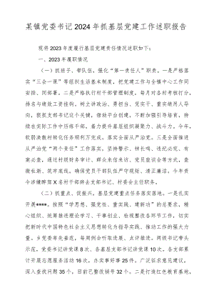 某镇党委书记2024年抓基层党建工作述职报告.docx
