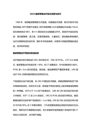 2024输尿管镜治疗结石流程与技巧.docx