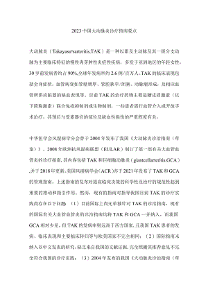 2023中国大动脉炎诊疗指南要点.docx