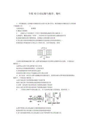 专练13主动运输与胞吞、胞吐.docx