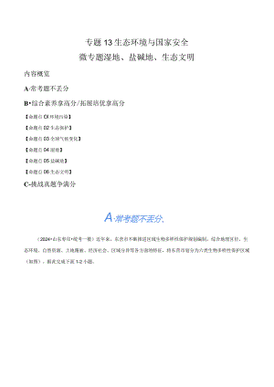 专题13生态环境与国家安全微专题湿地、盐碱地、生态文明（分层练）（解析版）.docx