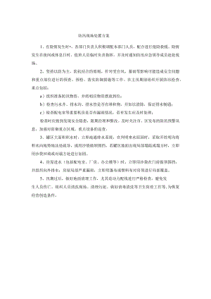 防汛现场处置方案.docx