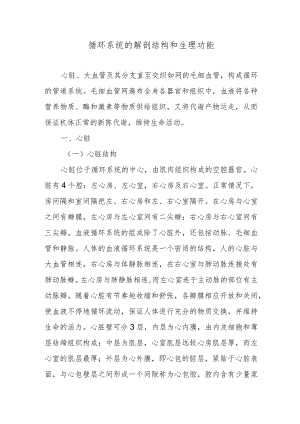 循环系统的解剖结构和生理功能.docx