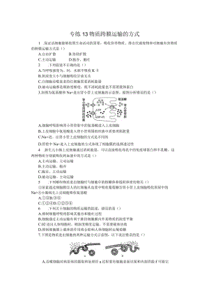 专练13物质跨膜运输的方式.docx