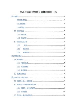 【中小企业融资策略及具体的案例探析14000字】.docx