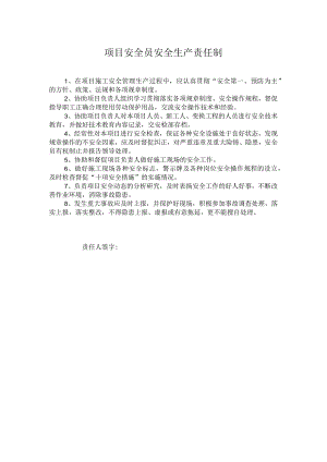 项目安全员安全生产责任制.docx