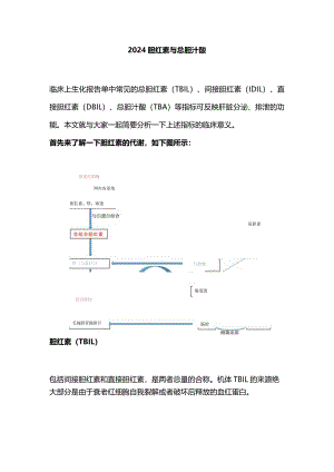 2024胆红素与总胆汁酸.docx