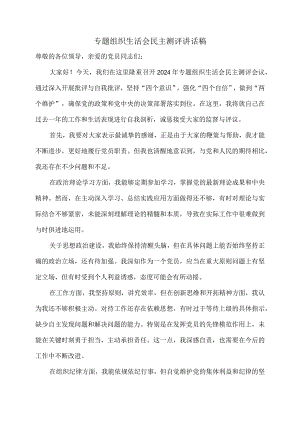 专题组织生活会民主测评讲话稿.docx