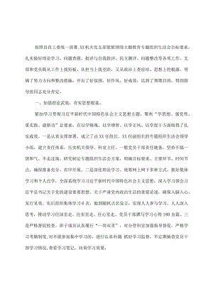 专题组织生活会总结.docx