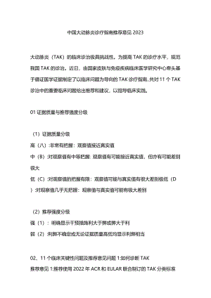 中国大动脉炎诊疗指南推荐意见2023.docx