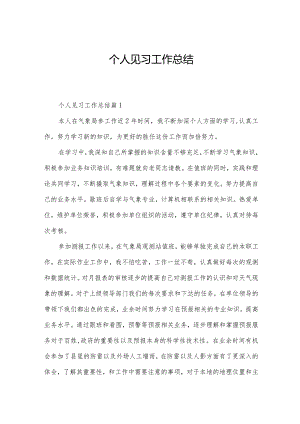 个人见习工作总结.docx