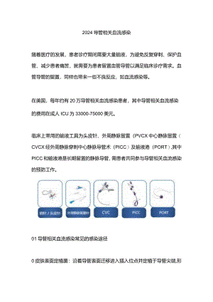 2024导管相关血流感染.docx