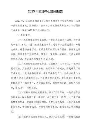 2023年支部书记述职报告.docx