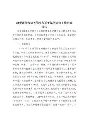旗委宣传部机关党支部关于基层党建工作自查报告.docx