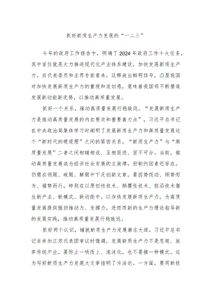抓好新质生产力发展的“一二三”.docx