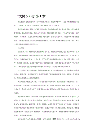 “大相扑”与“小一休”.docx