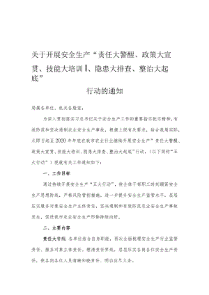 安全生产2020“五大行动”方案-.docx