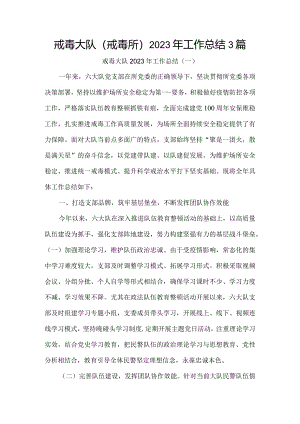 戒毒大队（戒毒所）2023年工作总结3篇.docx