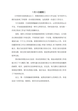 实习日记21篇.docx