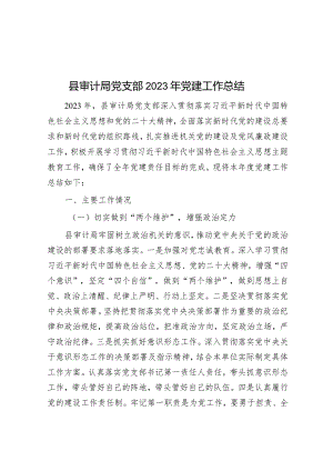 县审计局党支部2023年党建工作总结.docx