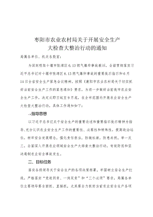 农业农村局安全生产大检查大整治方案.docx