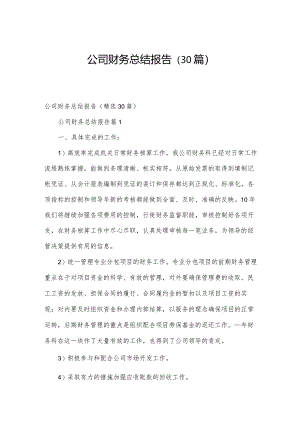 公司财务总结报告（30篇）.docx