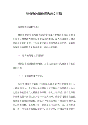巡查整改措施报告范文三篇.docx