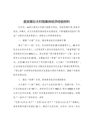 县发展壮大村级集体经济经验材料【】.docx