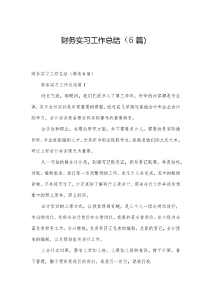 财务实习工作总结（6篇）.docx