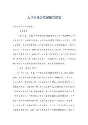 大学生社会实践报告范文.docx