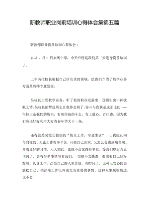 新教师职业岗前培训心得体会集锦五篇.docx