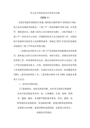 2024急诊科培训计划.docx