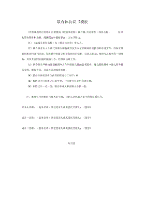联合体协议书模板.docx