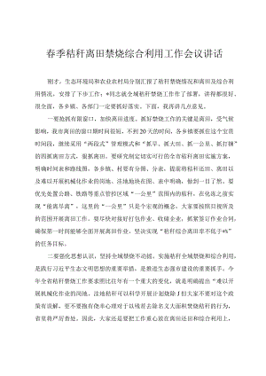 2024年春季秸秆离田禁烧综合利用工作会议讲话.docx
