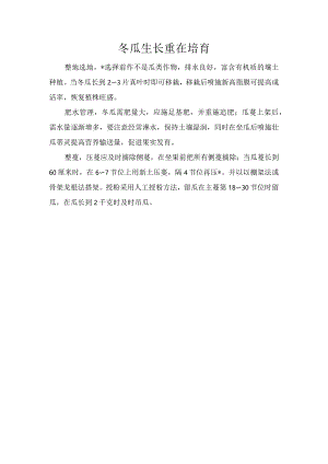冬瓜生长重在培育.docx