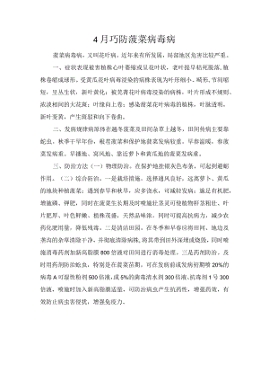 4月巧防菠菜病毒病.docx