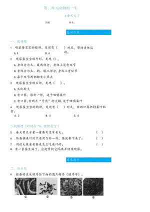 科学_三年级下册_2.3蚕长大了双减分层同步练习（含答案.docx
