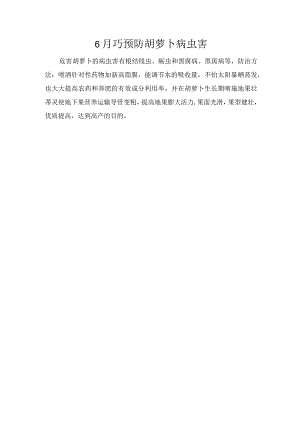 6月巧预防胡萝卜病虫害.docx