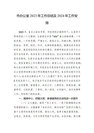 市办公室2023年工作总结及2024年工作安排.docx