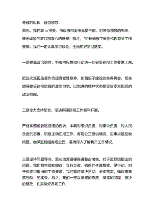 在巡视见面沟通会上的表态发言.docx