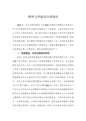 精神文明建设自查情况.docx