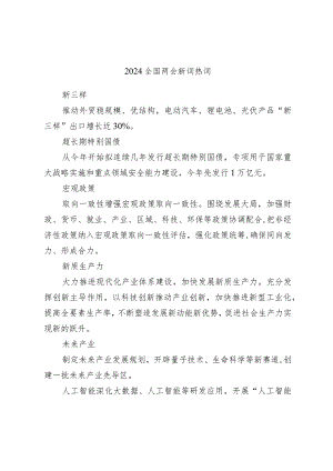 2024两会十二个关键词新词热词解读.docx